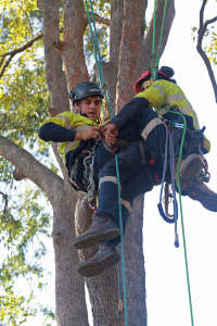 attaching climber to rescurer